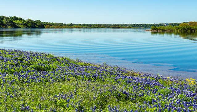 Texas water store service